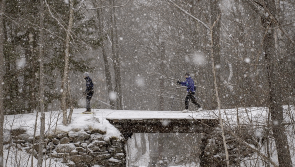 Trails in snowy winter