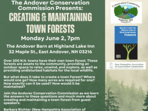 Creating and Maintaining Town Forests