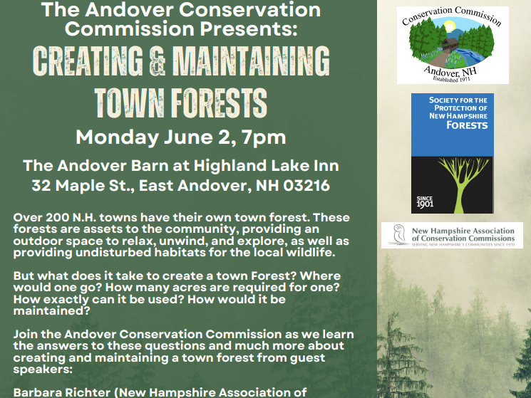 Creating and Maintaining Town Forests