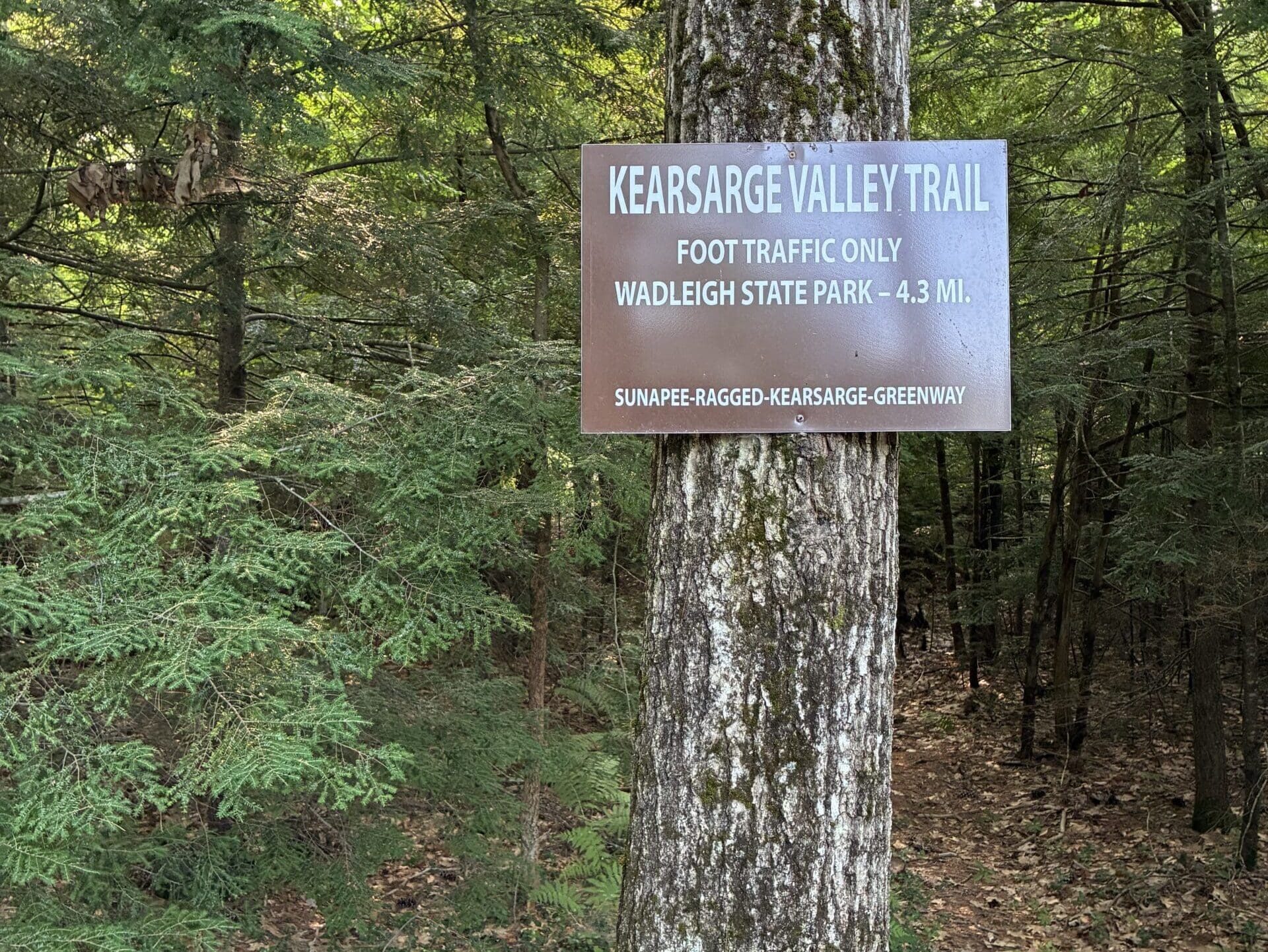 Trail 12 Kearsarge Valley Road to Wadleigh State Park, eastern trailhead